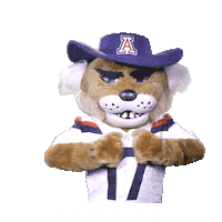 College Sports Arizona Sticker by College Colors Day