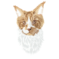 Cat Malka Sticker