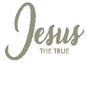 Christmas Jesus Sticker