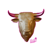 Firefly Toro Sticker by Firefly* Tapas