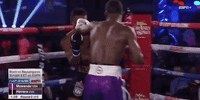 GIF by Top Rank Boxing