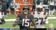 Houston Texans Football GIF by NFL