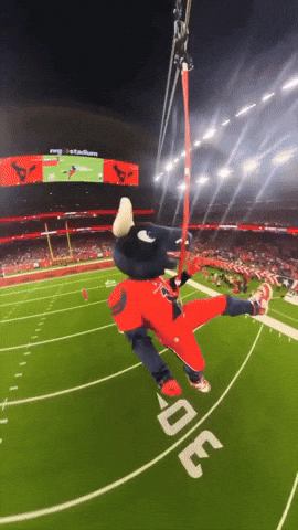 pedrojrmaldonado houston texans texans toro h-town GIF