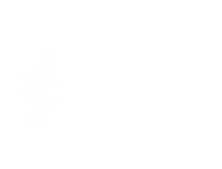 Throwback Quinta Feira Sticker