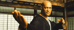 Matrix Dance Challenge GIF by Dance Insanity