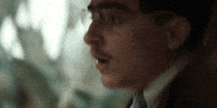 Dream Big Timothee Chalamet GIF by A24