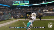 Miami Dolphins Football GIF by NFL