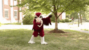 Dab Rooney GIF by Roanoke College