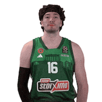 Cedi Osman Pao Sticker by Panathinaikos BC AKTOR