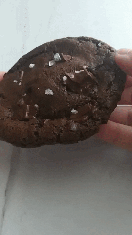 anisesalazar giphyupload GIF