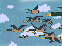 GIF by Lolita