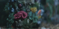 dark net my relationship GIF by Vocativ