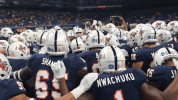 utsaroadrunners utsafootball GIF by UTSA Athletics