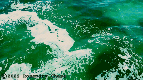 Water Loving GIF