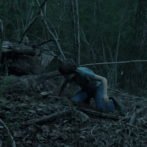 ozark GIF by NETFLIX