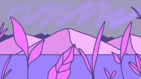 pizzadonkey giphygifmaker GIF