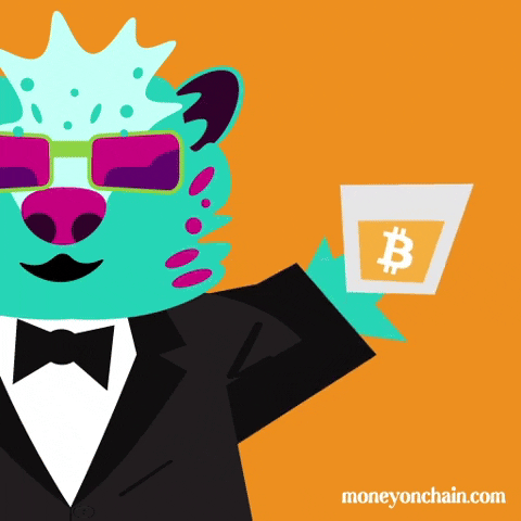 moneyonchainbadgers giphyupload money bitcoin dollar GIF
