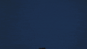 Happy Pop Up GIF by Fighting Illini Athletics