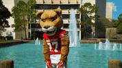 houstoncougars houston sasha gocoogs shasta GIF