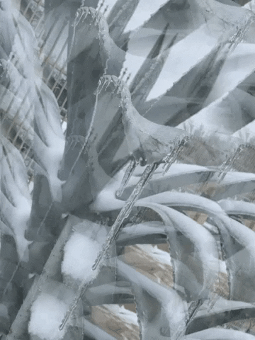 Travbeat ice frozen icy GIF