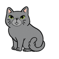 Cat Neko Sticker