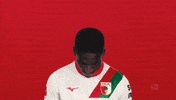 Fc Augsburg Dong GIF by Bundesliga