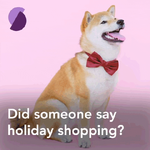 Dog Holiday GIF by Splitit