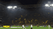 Football Soccer GIF by DAZN