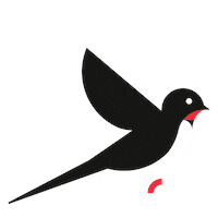 bird swallow Sticker by JVAL Openair