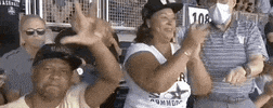 Nc State Baseball GIF by NCAA Championships