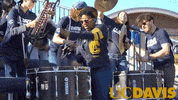 University Of California Davis GIF by UC Davis