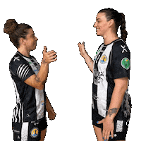Costa Del Sol Handball Sticker by Club Balonmano Femenino Málaga Costa del Sol