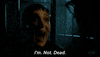 fox broadcasting GIF by Gotham