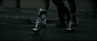 studying suicide squad GIF