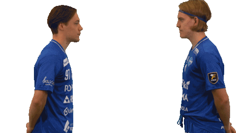 Floorball Salibandy Sticker by F-liiga
