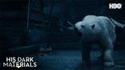 Golden Compass Hbo GIF by His Dark Materials