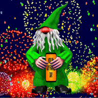 Bonfire Night Fireworks GIF