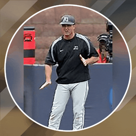 joesottolano giphygifmaker giphyattribution GIF