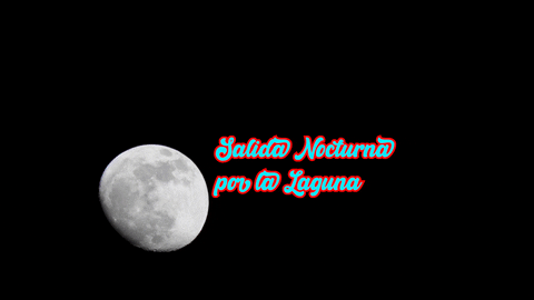 josetxoperurena giphyupload GIF