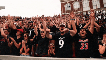 Cincinnati Football GIF by Cincinnati Bearcats