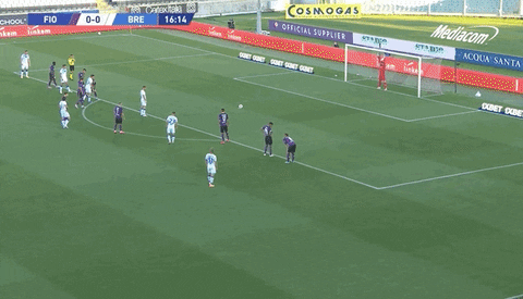 ArchiteuthisDux giphyupload GIF