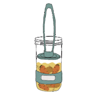 vegan kit Sticker by Lekue