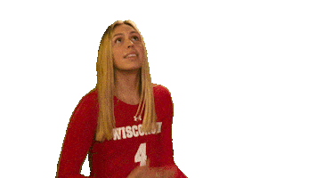 Celebrate Wisconsin Volleyball Sticker by Wisconsin Badgers