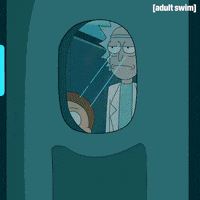 Season 3 Episode 308 GIF by Rick and Morty