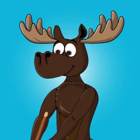 DoYouMoose giphyupload clean web3 cleaning GIF