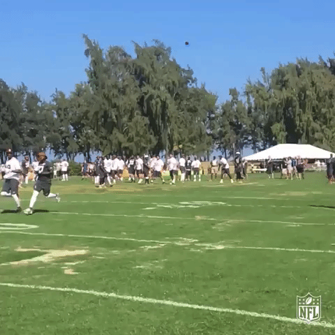 probowl GIF by NFL
