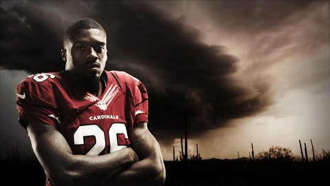 GIF by azcardinals