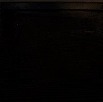 gatorbiz crt shutdown turn off vintage tv GIF