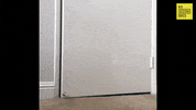 Its Me Hello GIF by 60 Second Docs