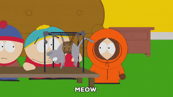 eric cartman cat GIF by South Park 